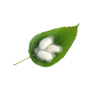Ecom